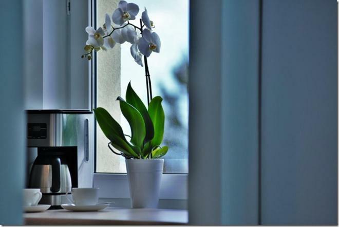 Apartamento Cozy Base Gdansk Exterior foto